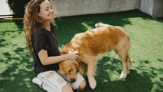 Warum Spielzeuge für Hunde wichtig sind – Blog über Nutzen & Tipps - Happy Little Paws