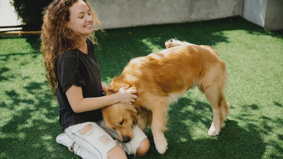 Warum Spielzeuge für Hunde wichtig sind – Blog über Nutzen & Tipps - Happy Little Paws