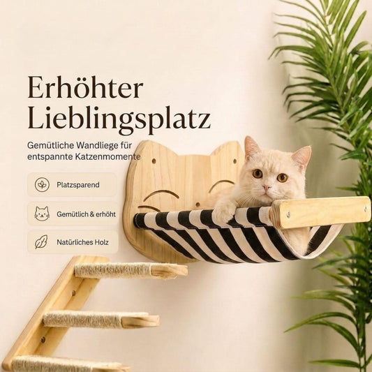 Katzen-Wandsystem mit Sisalstufen