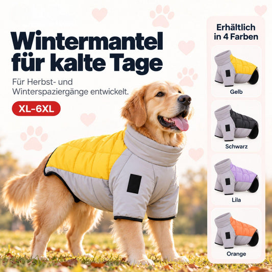 Wintermantel für Hunde – Warm & wasserdicht