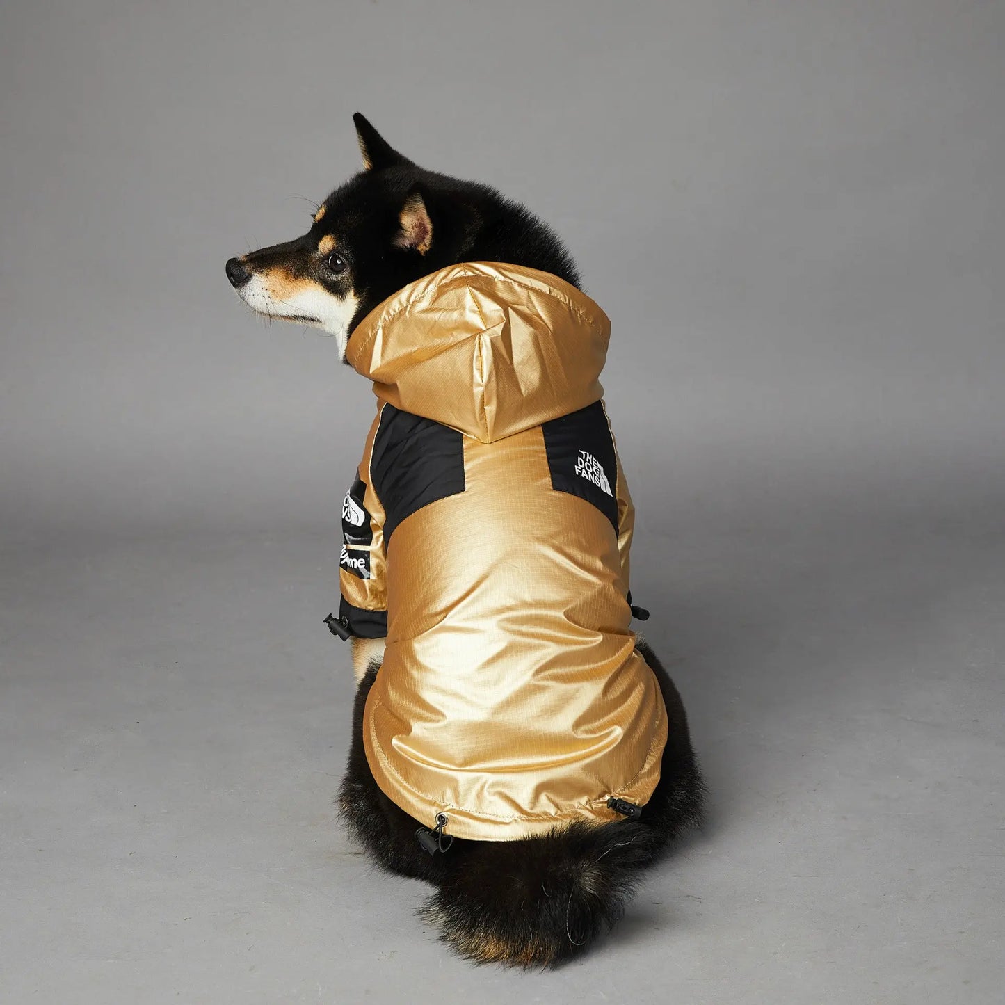 Regenjacke für Hunde – Wasserdichte Regenjacke für große Hunde - Happy Little Paws