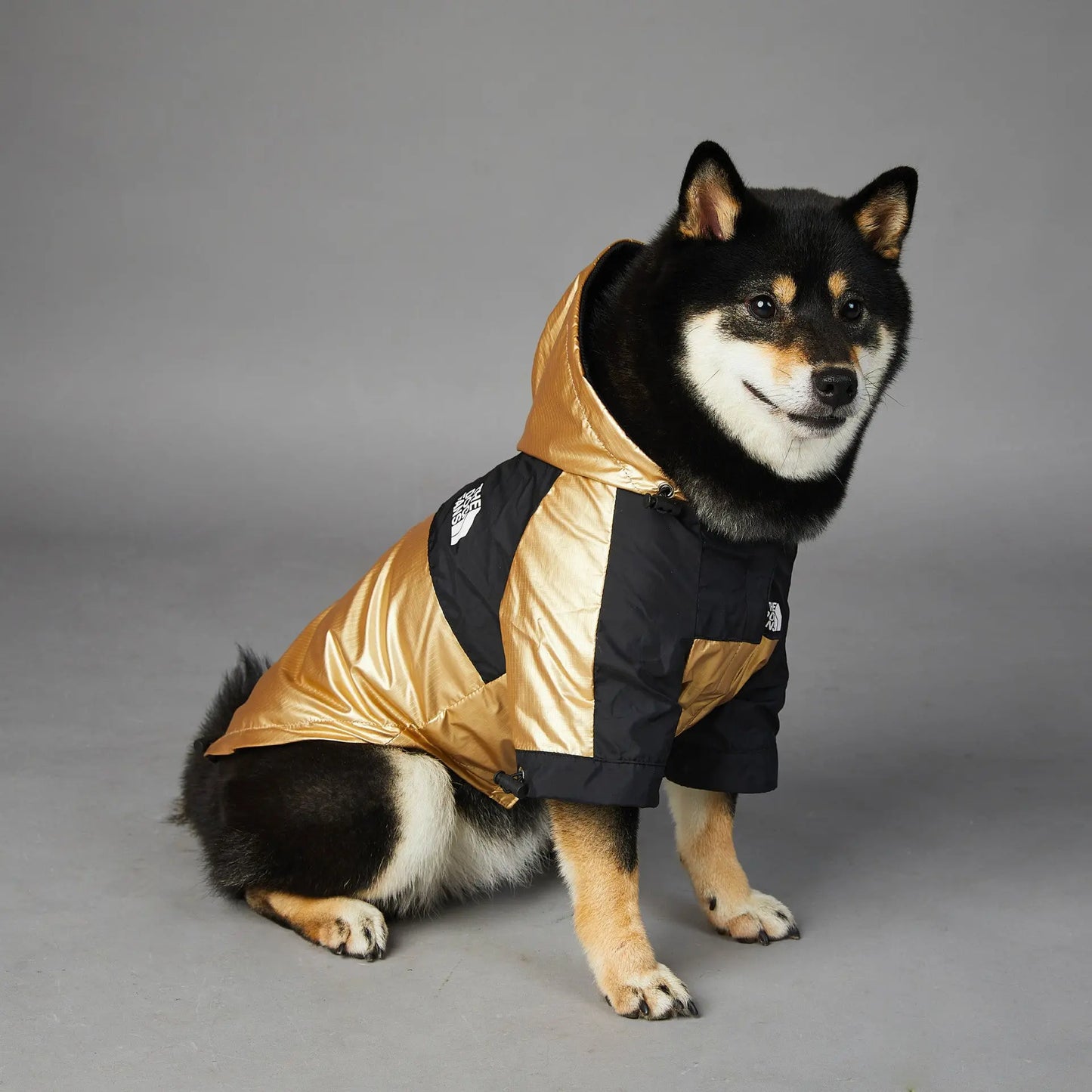 Regenjacke für Hunde – Wasserdichte Regenjacke für große Hunde - Happy Little Paws