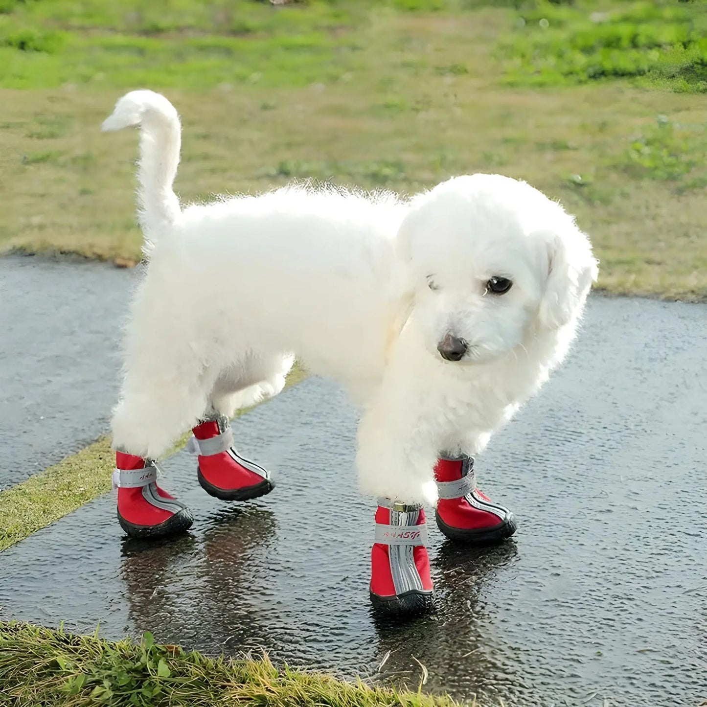 Breathable Dog Shoes – Non-Slip & Waterproof