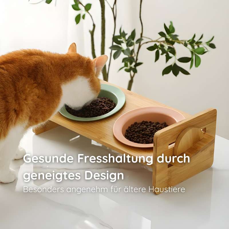 Bambus-Keramik Futternapf – Erhöht & ergonomisch Happylittlepaws
