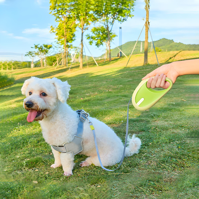 FlexControl 3M – Die smarte Hundeleine Happylittlepaws