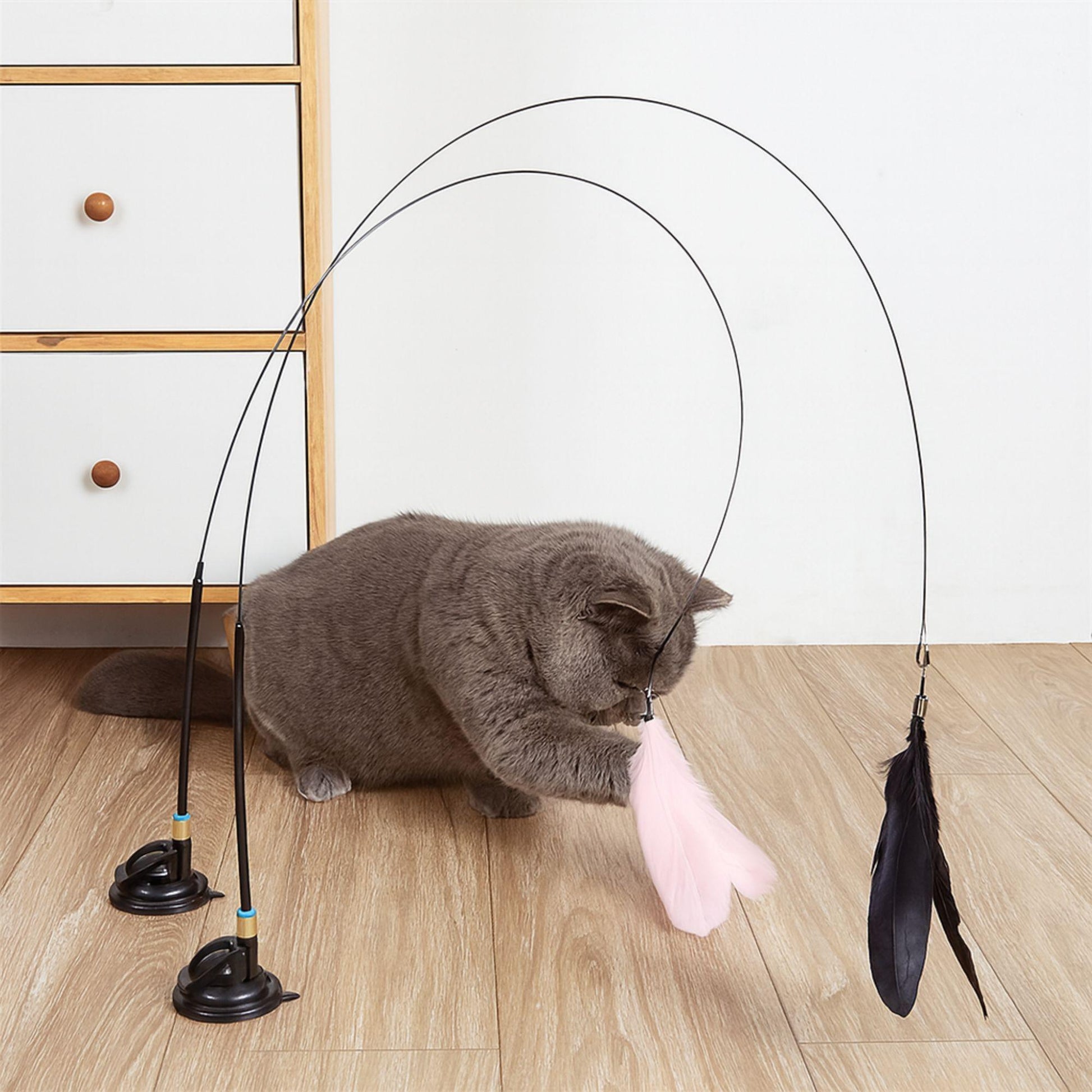 Interaktive Katzenangel mit Feder und Saugnapf – Spielzeug für Katzen zum Spielen und Jagen