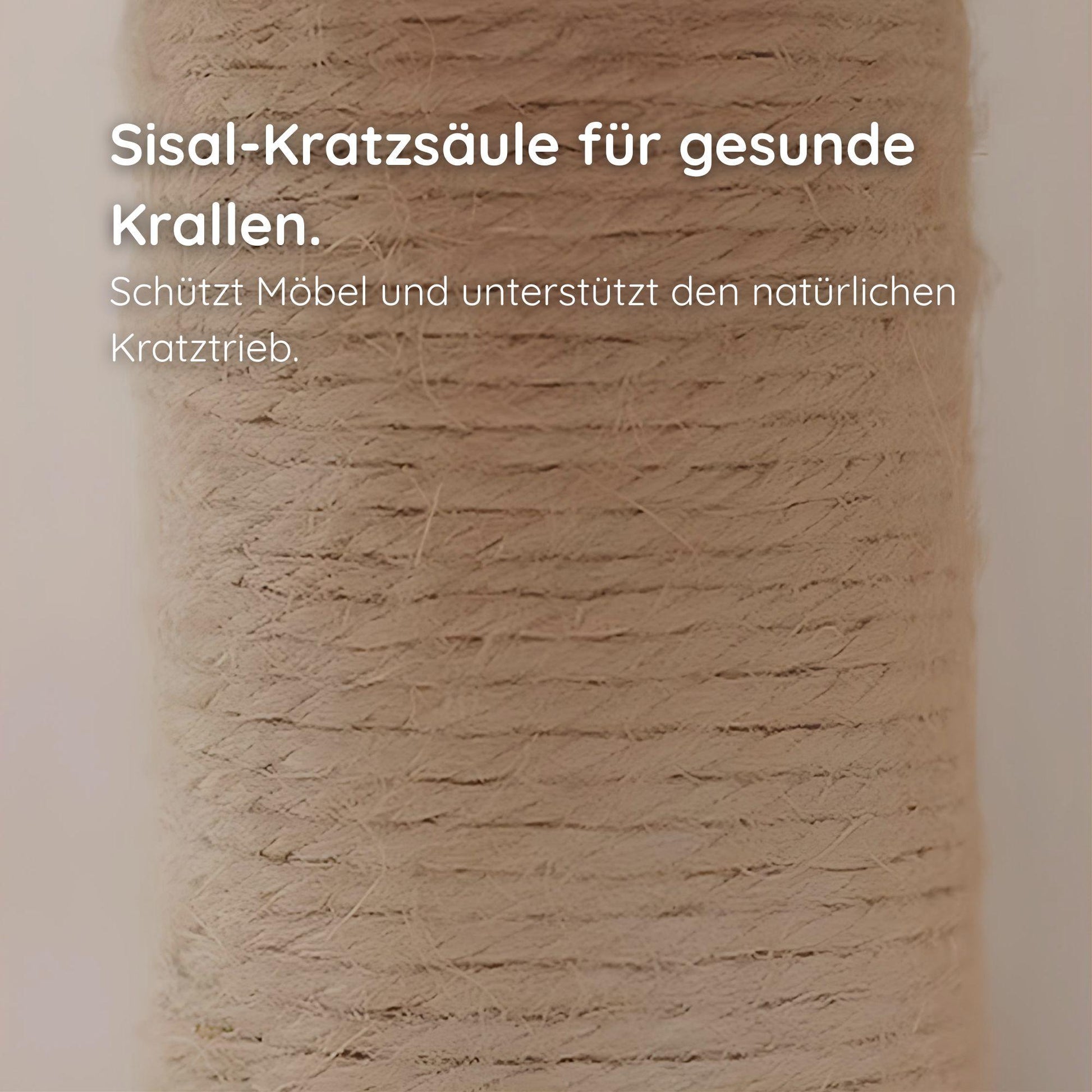 Katzen-Holzspielzeug – Drehbare Kratzsäule & Intelligenztrainer Happy Little Paws