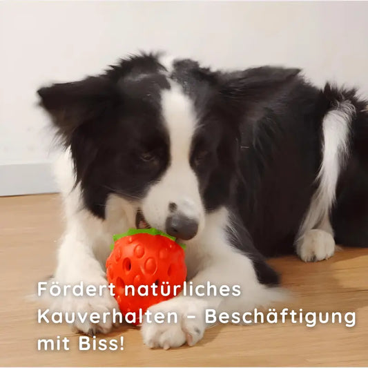 Kauspielzeug Erdbeere – Interaktiv & Aus Naturgummi - Happylittlepaws