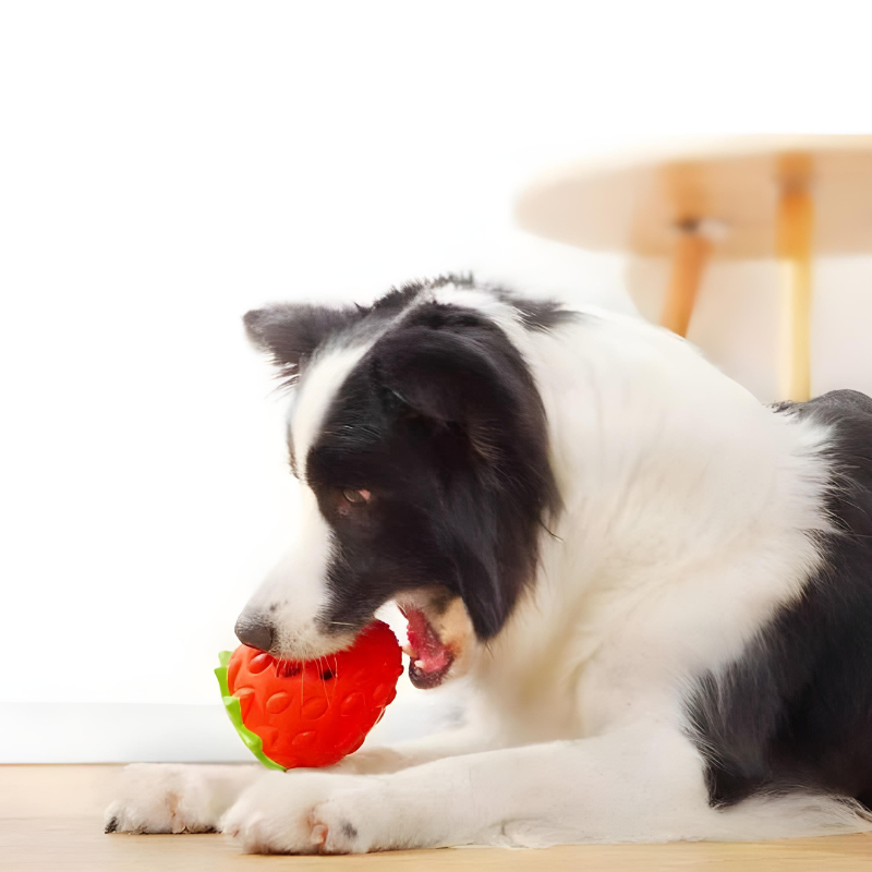 Kauspielzeug Erdbeere – Interaktiv & Aus Naturgummi Happylittlepaws