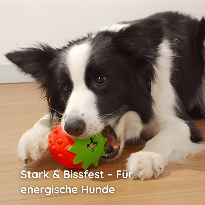 Kauspielzeug Erdbeere – Interaktiv & Aus Naturgummi - Happy Little Paws