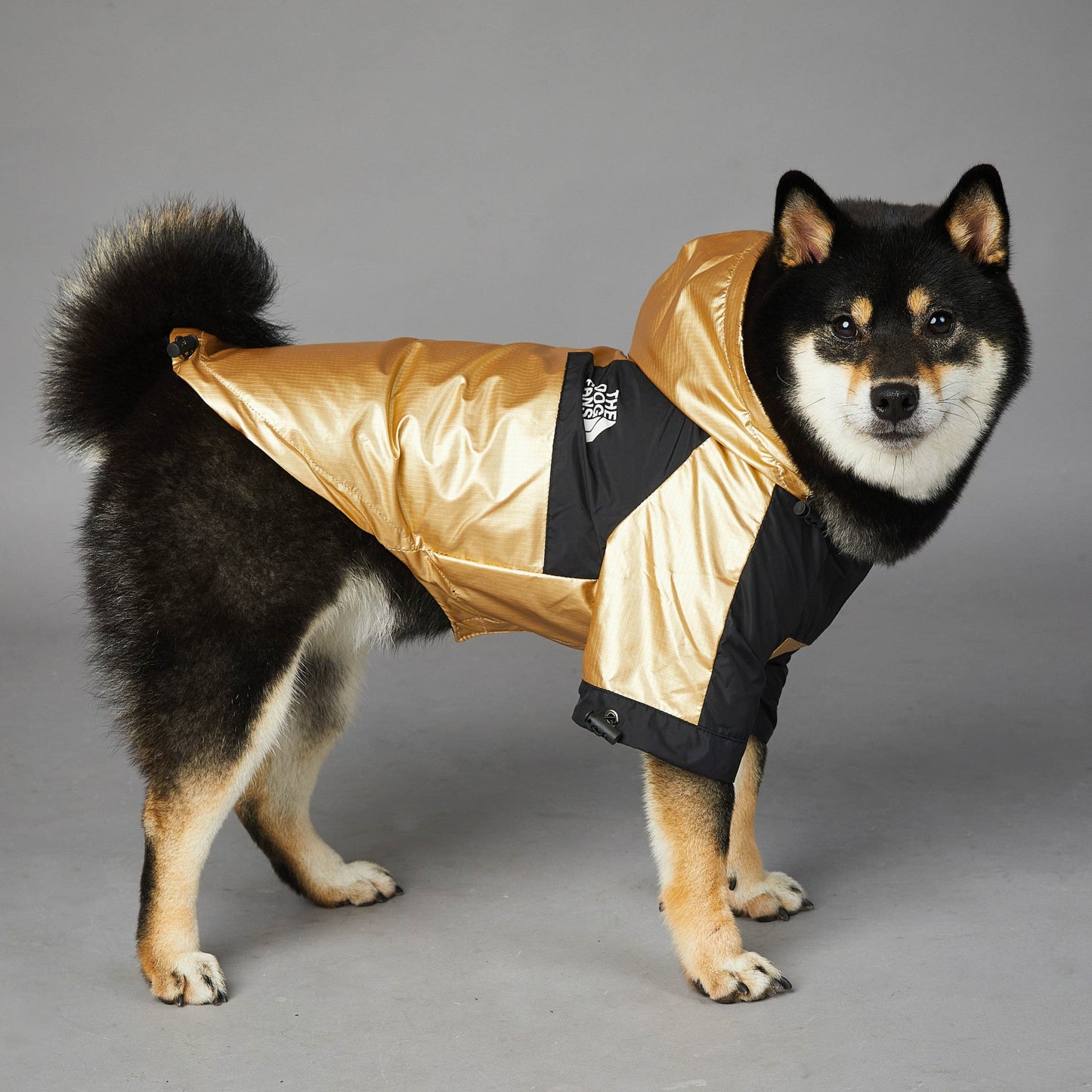 Stylische Hunde-Regenjacke – Wasserdicht Happylittlepaws