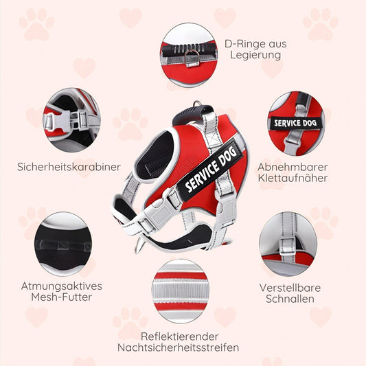 Reflektierendes Hundegeschirr mit Leine