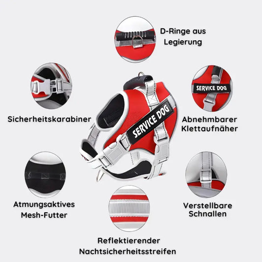 Reflektierendes Hundegeschirr mit Leine - Happylittlepaws