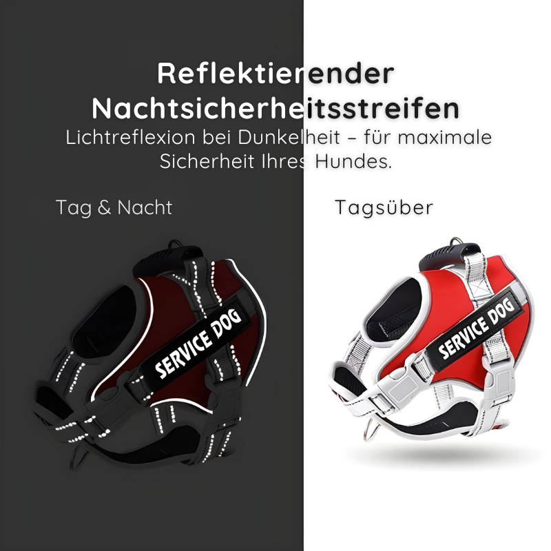 Reflektierendes Hundegeschirr mit Leine Happylittlepaws