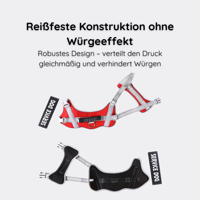 Reflektierendes Hundegeschirr mit Leine Happylittlepaws