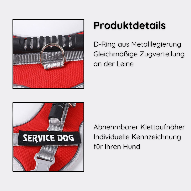 Reflektierendes Hundegeschirr mit Leine Happylittlepaws
