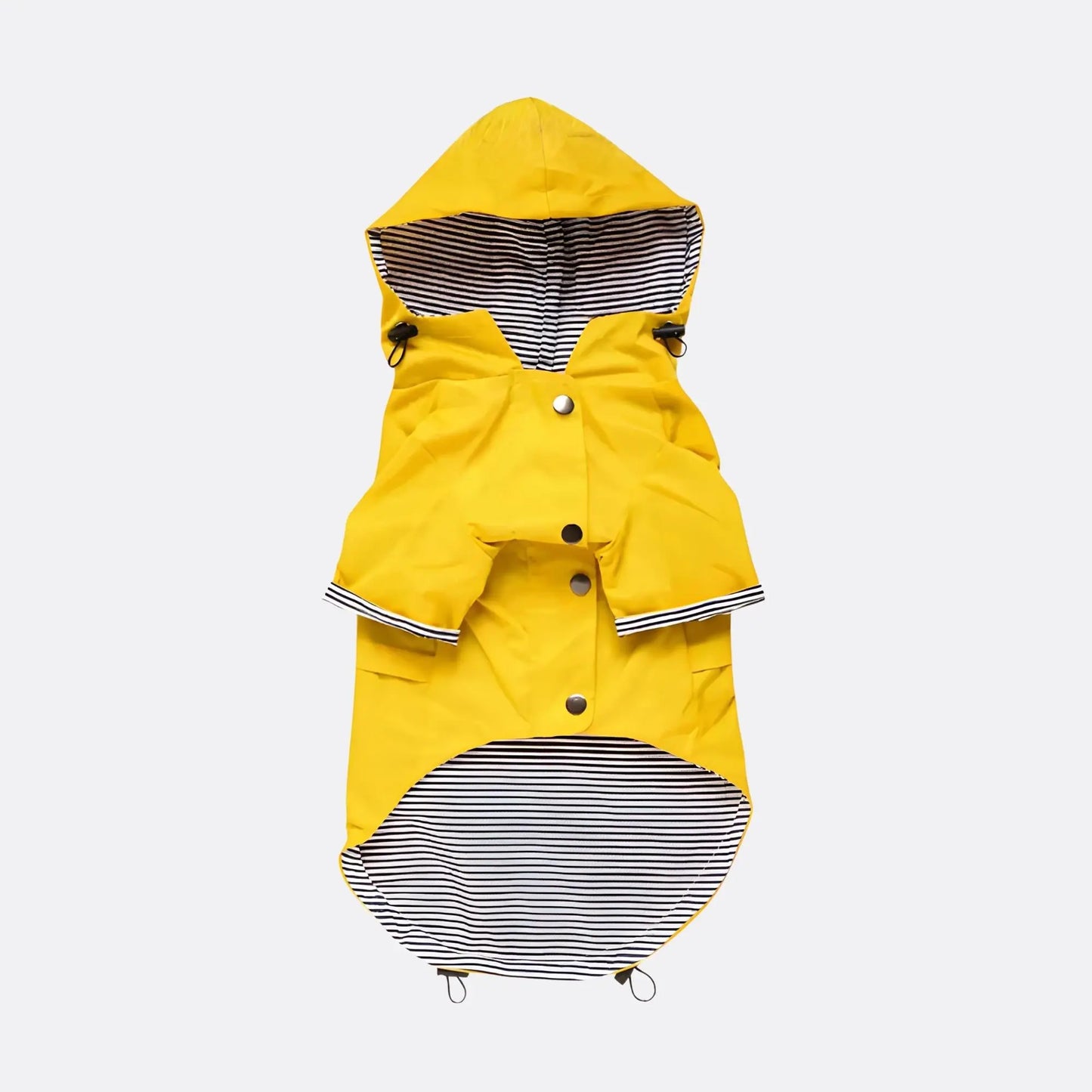 Rain jacket for dogs – stylish & waterproof