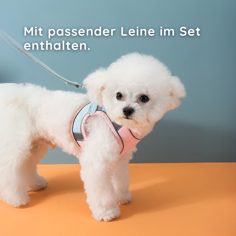 Softgeschirr für Katzen & kleine Hunde – Samtweich & Sicher Happylittlepaws