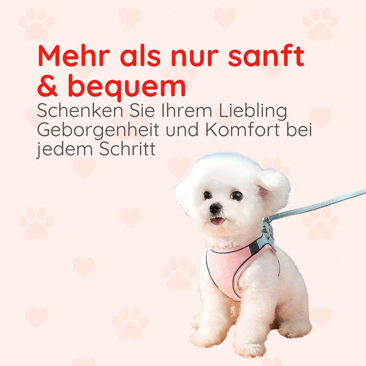 Softgeschirr für Katzen & kleine Hunde – Samtweich & Sicher Happy Little Paws