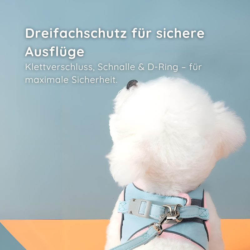 Softgeschirr für Katzen & kleine Hunde – Samtweich & Sicher - Happy Little Paws
