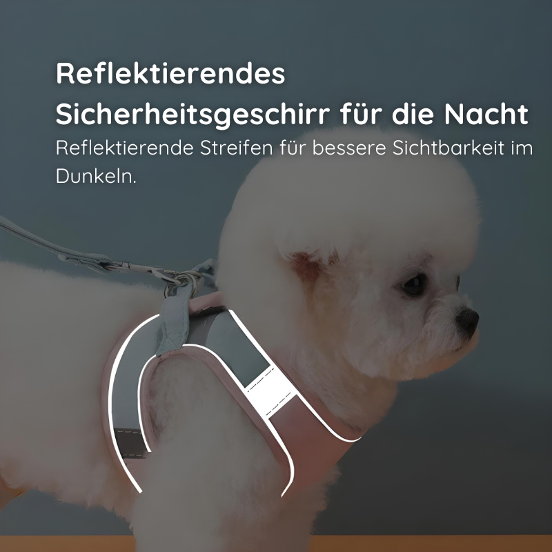 Softgeschirr für Katzen & kleine Hunde – Samtweich & Sicher - Happy Little Paws