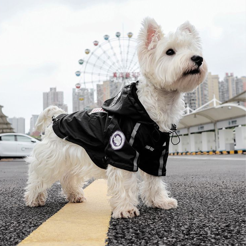 Stylische Hunde-Regenjacke – Wasserdicht Happylittlepaws