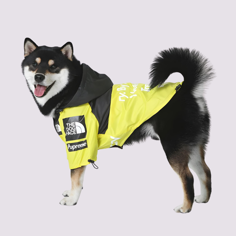 Stylische Hunde-Regenjacke – Wasserdicht Happylittlepaws