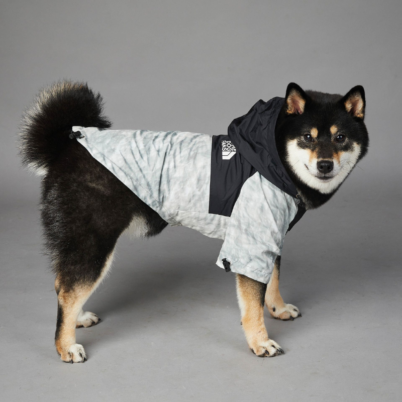 Stylische Hunde-Regenjacke – Wasserdicht Happylittlepaws