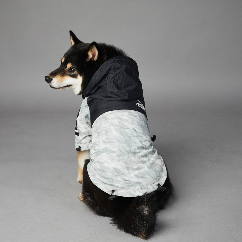 Stylische Hunde-Regenjacke – Wasserdicht Happylittlepaws