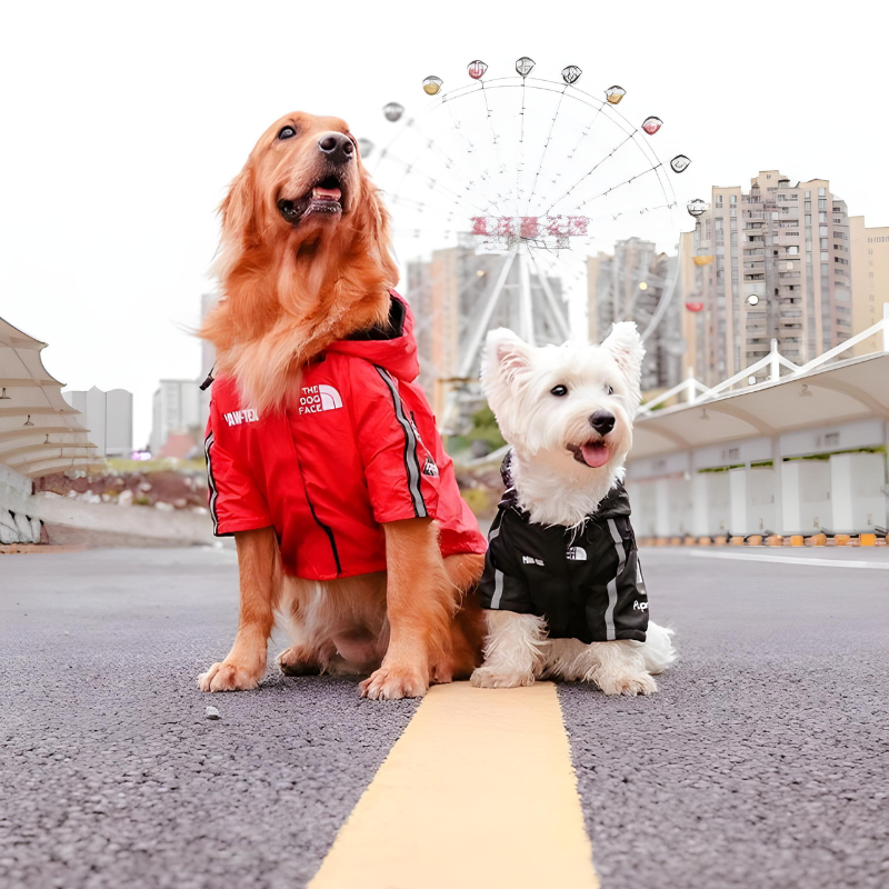 Stylische Hunde-Regenjacke – Wasserdicht Happylittlepaws