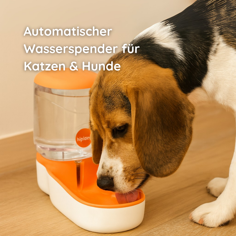 Wasserspender für Haustiere – Automatisch & BPA-frei