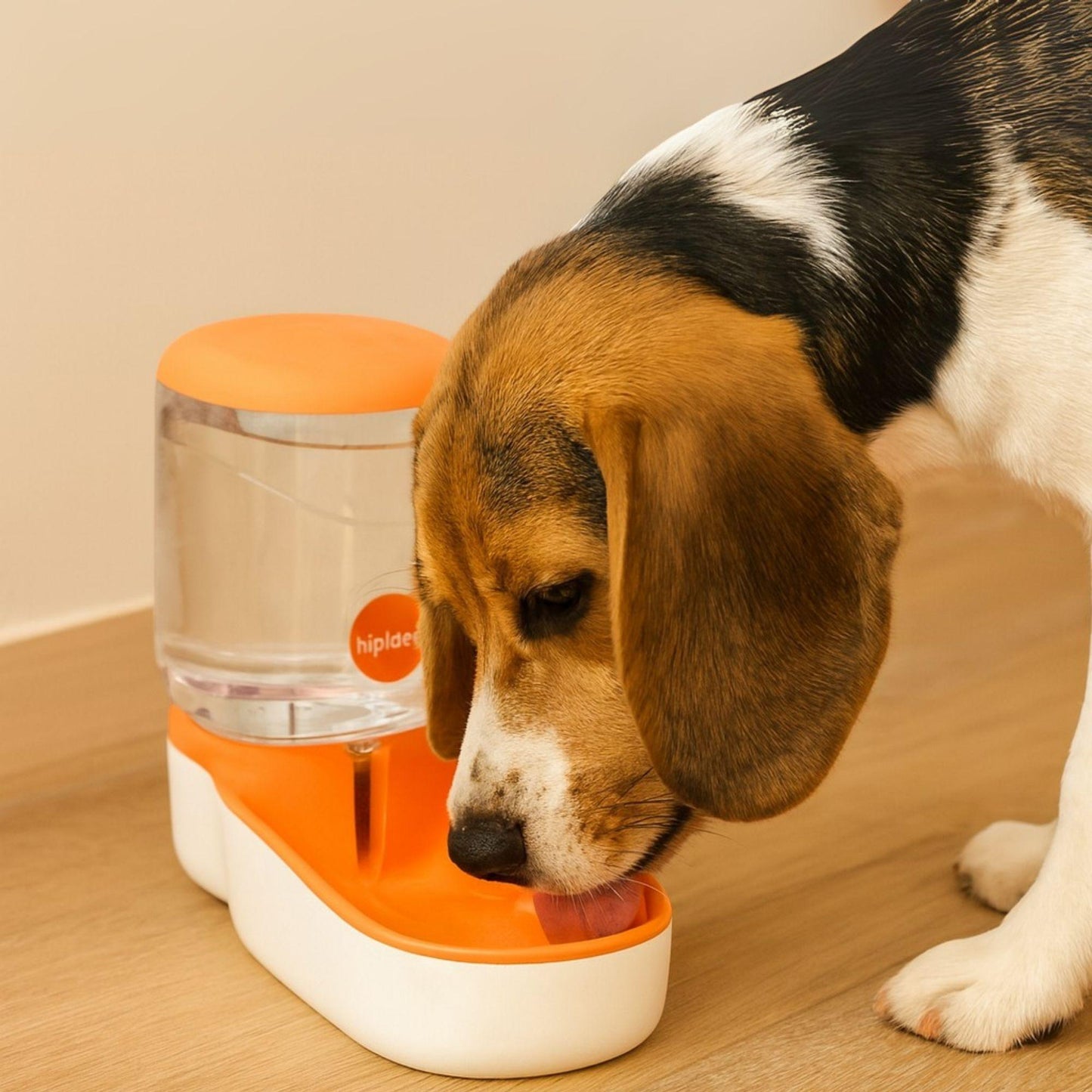 Automatischer Wasserspender für Hunde & Katzen Happy Little Paws