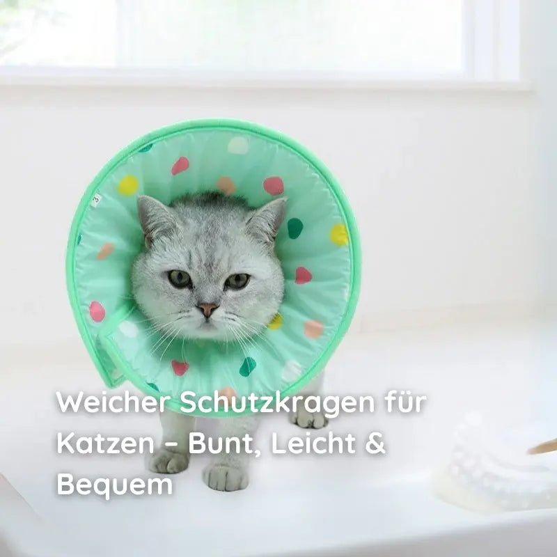 Weiche Haustier-Halskrause – Gepolstert, Wasserdicht & Bunt - Happylittlepaws