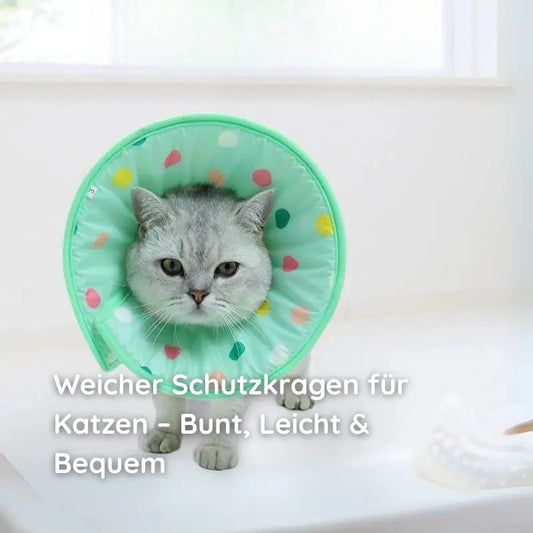 Weiche Haustier-Halskrause – Gepolstert, Wasserdicht & Bunt - Happylittlepaws