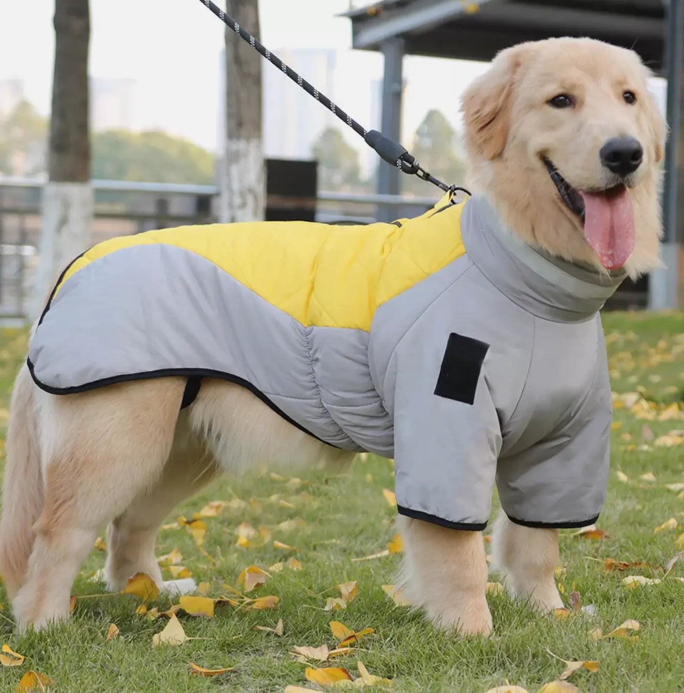 Wintermantel für Hunde – Warm & wasserdicht - Happylittlepaws