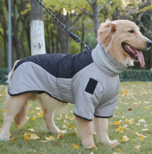 Wintermantel für Hunde – Warm & wasserdicht - Happylittlepaws