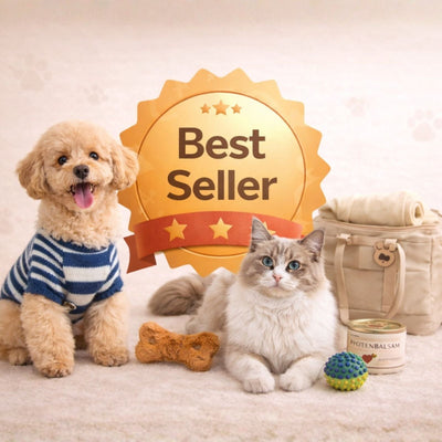 Our Bestsellers 🏆