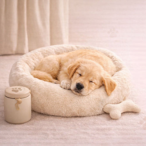 Sleep & Comfort