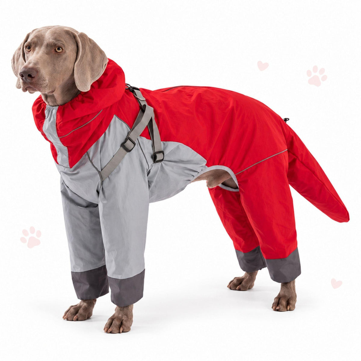 Hunde-Regenoverall für große Hunde mit Kapuze