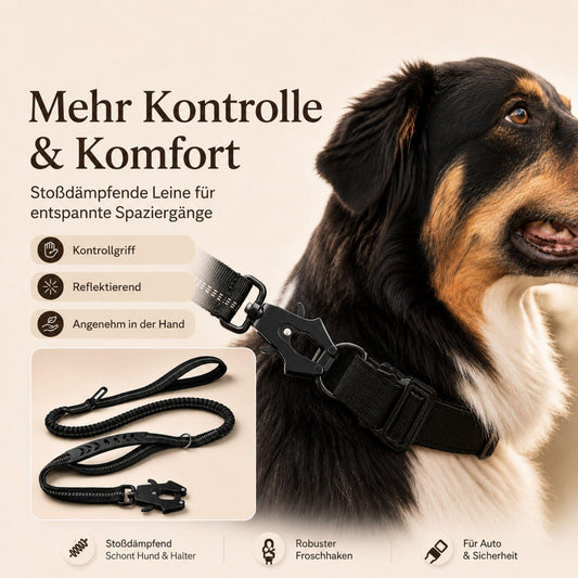Reflektierende Bungee-Hundeleine mit Auto-Gurtadapter