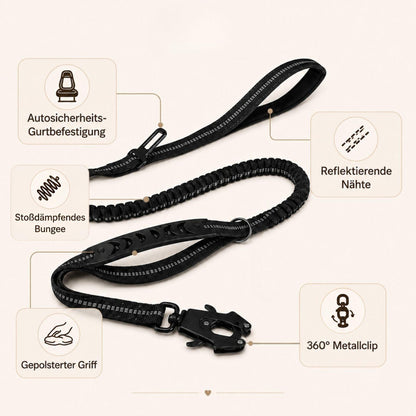 Reflektierende Bungee-Hundeleine mit Auto-Gurtadapter