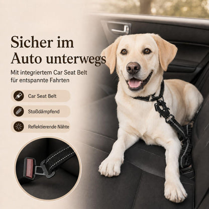 Reflektierende Bungee-Hundeleine mit Auto-Gurtadapter