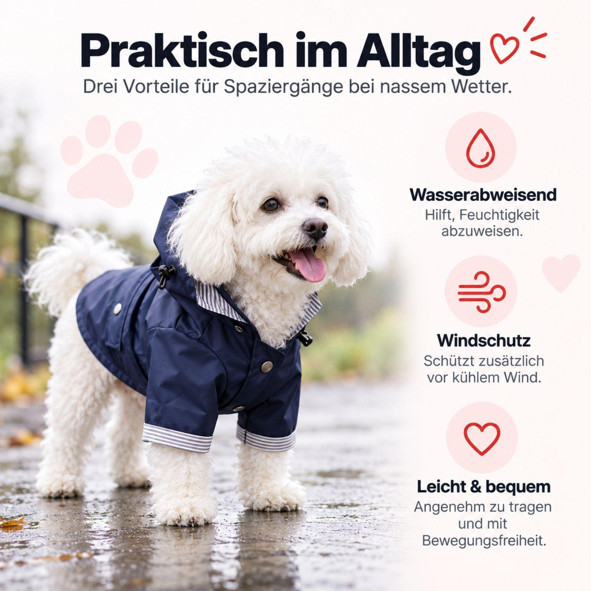 Regenjacke für Hunde – Stilvoll & Wasserfest