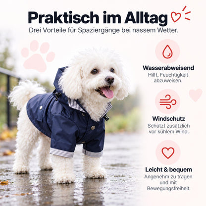 Regenjacke für Hunde – Stilvoll & Wasserfest