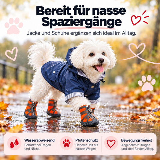 Herbst-Bundle für nasse Tage – Regenjacke + Hundeschuhe