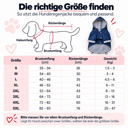 Herbst-Bundle für nasse Tage – Regenjacke + Hundeschuhe