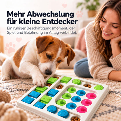 Intelligenzspielzeug – 4 Modelle für Hunde & Katzen