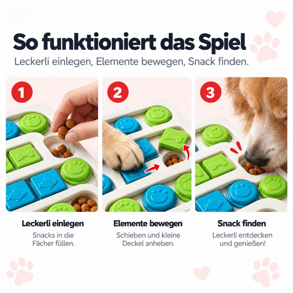 Intelligenzspielzeug – 4 Modelle für Hunde & Katzen
