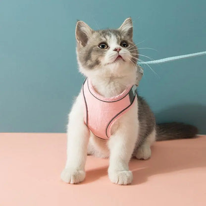 Softgeschirr für Katzen & kleine Hunde – Samtweich & Sicher - Happy Little Paws