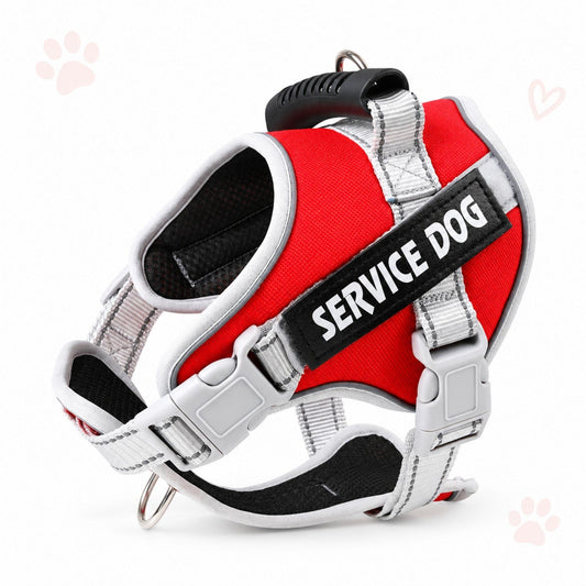 Reflektierendes Hundegeschirr, sicher & verstellbar